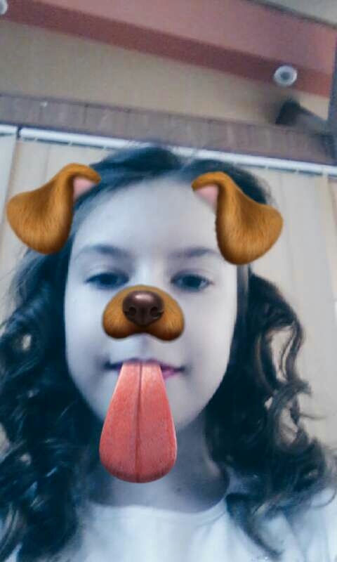 my in dog