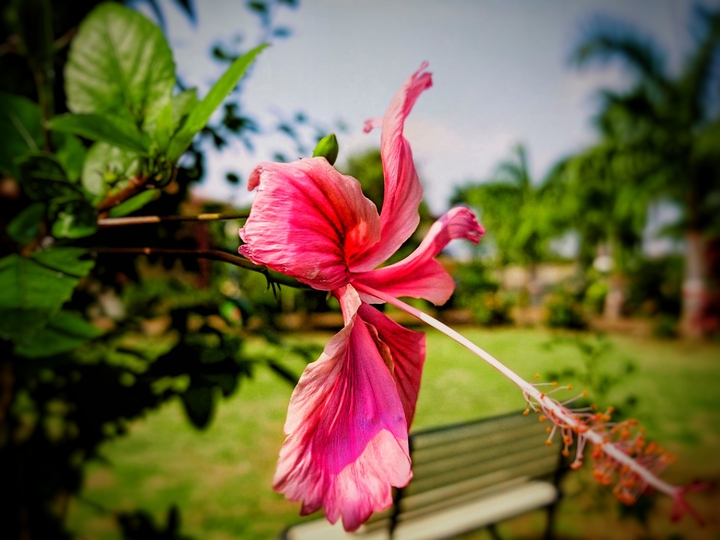 Trip_00_graphy