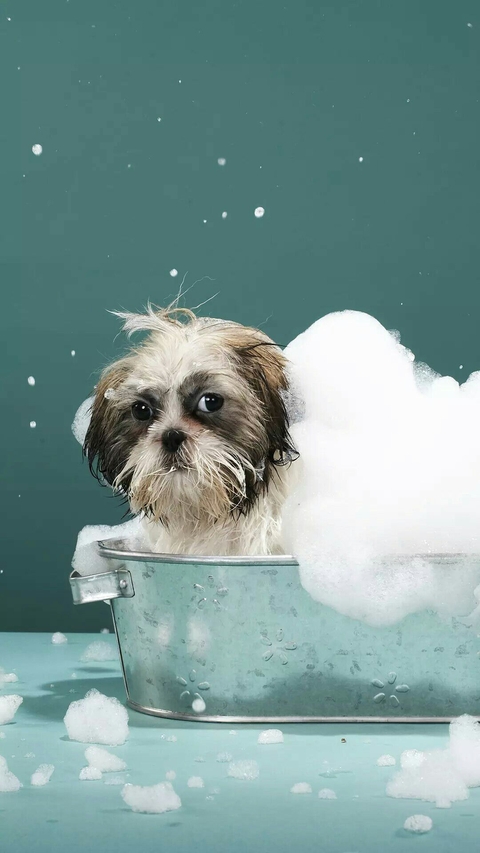 bathtub