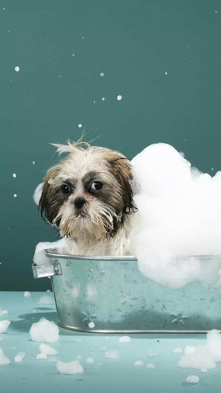 bathtub