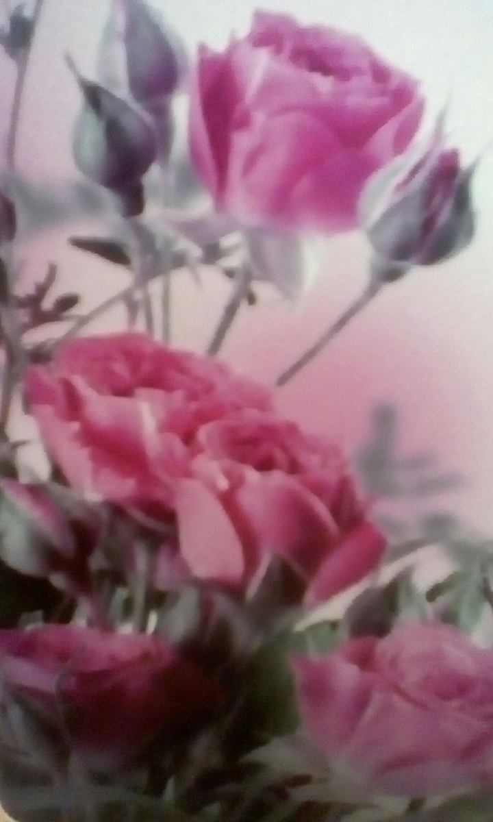 Rose.