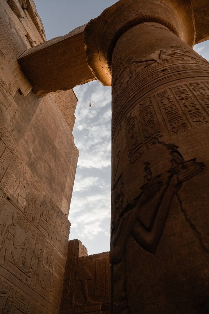 bird through pillars