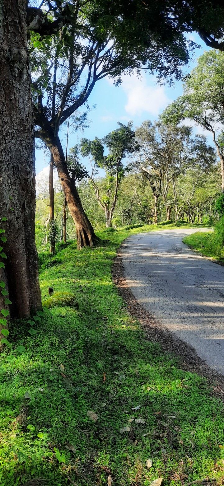 Roads