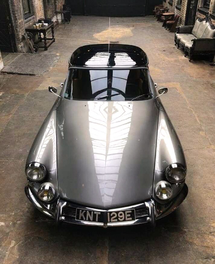DS