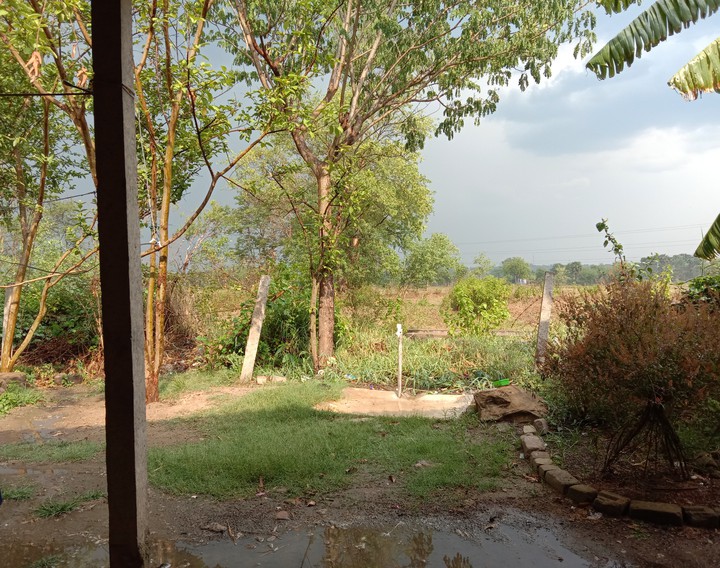 After Rain