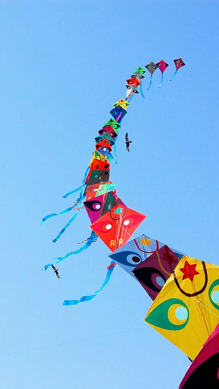 kites