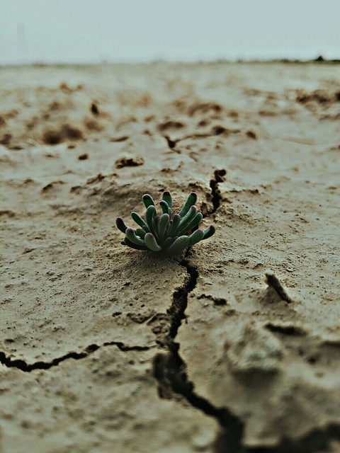 life and death