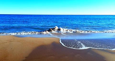 the great blue