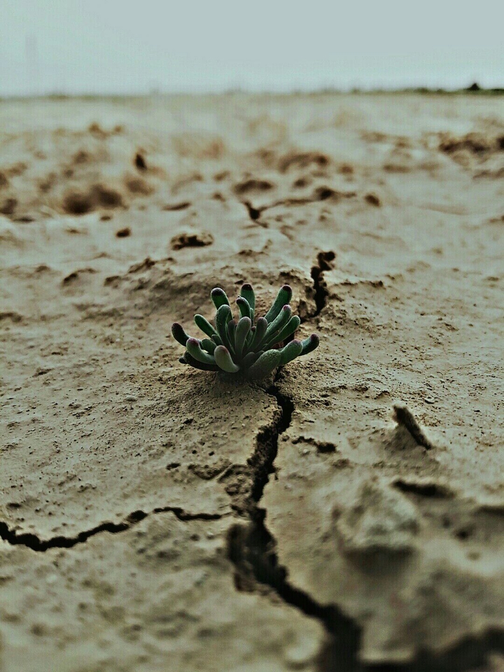 life and death
