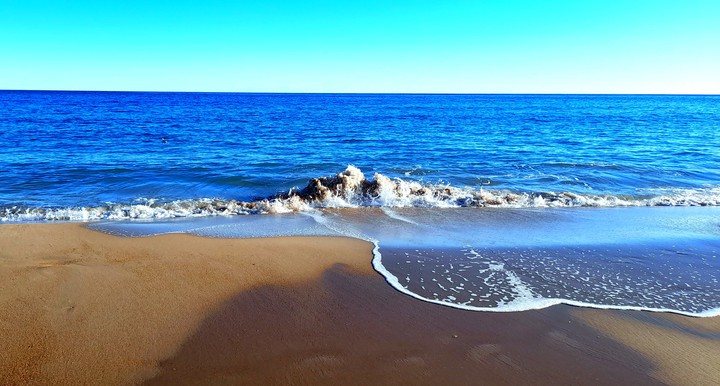 the great blue