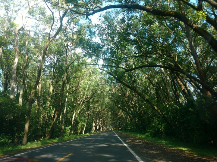 green road