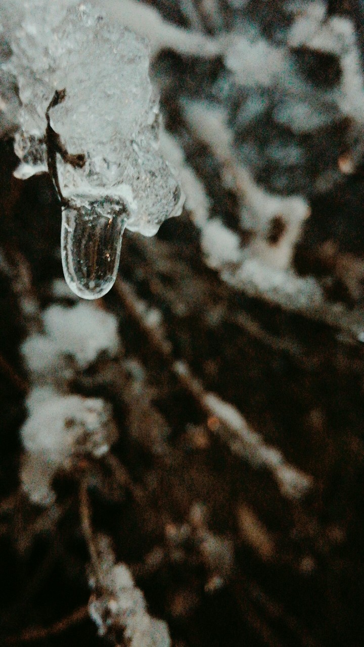 #winter #miracle #snow