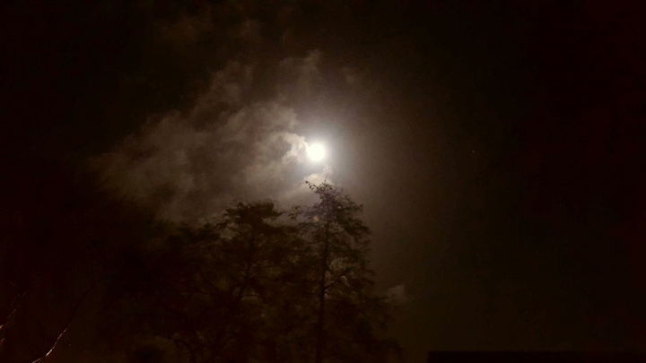 Howlin' To The Moon