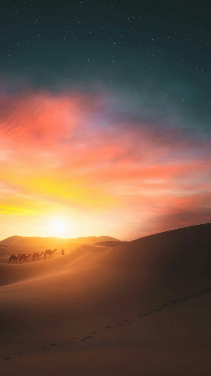 desert & sunset