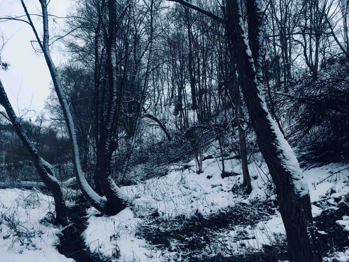 ❄️