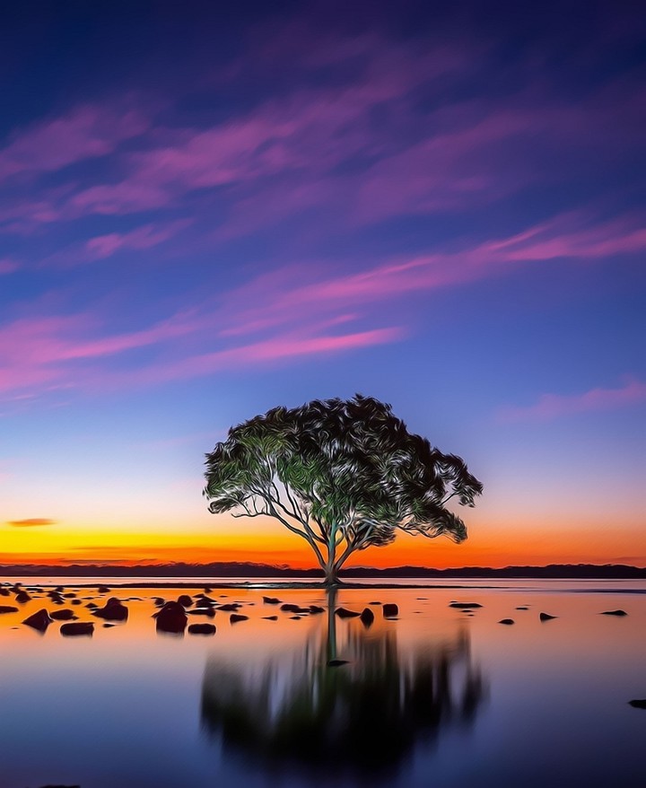 Nature's Beauty