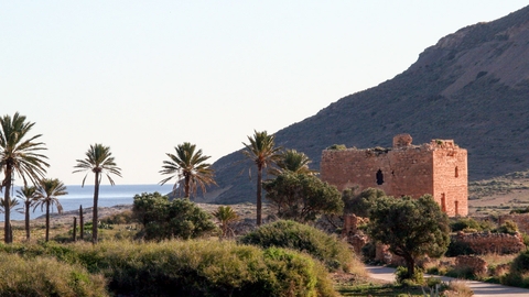 sfondi hill, landscape