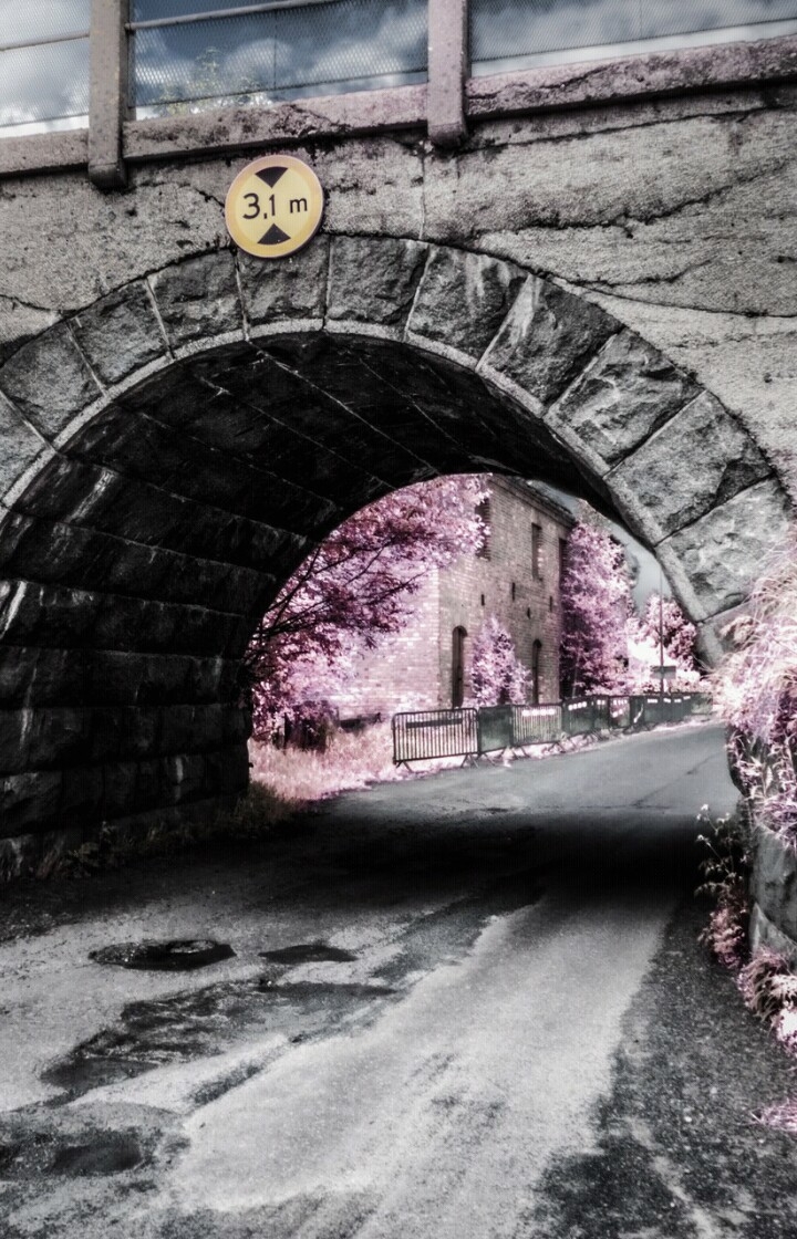 bridge