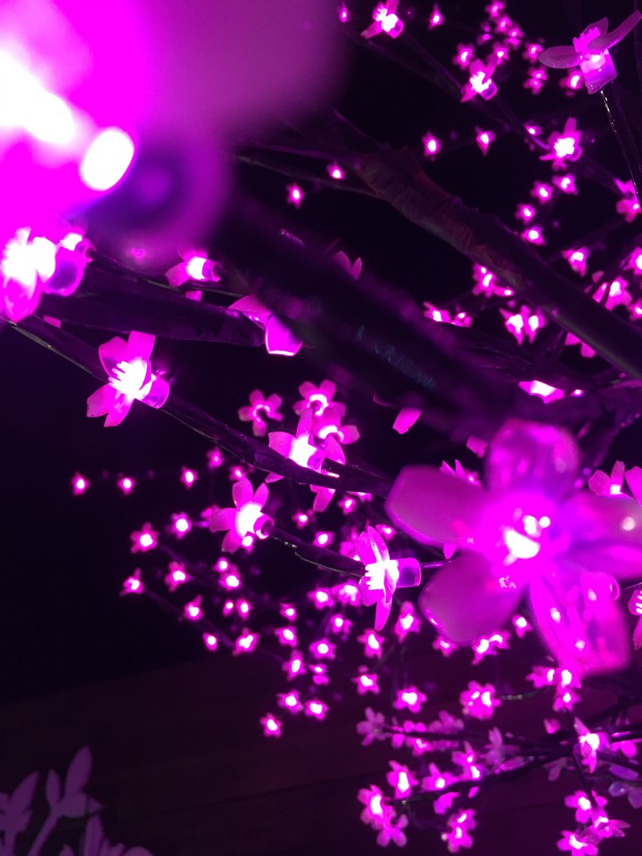 Flower lights 2.0