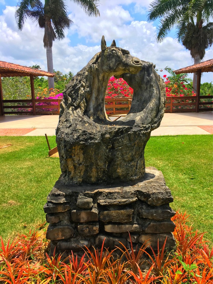Estátua Cavalo