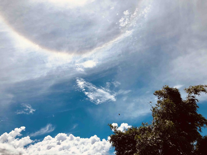 halo