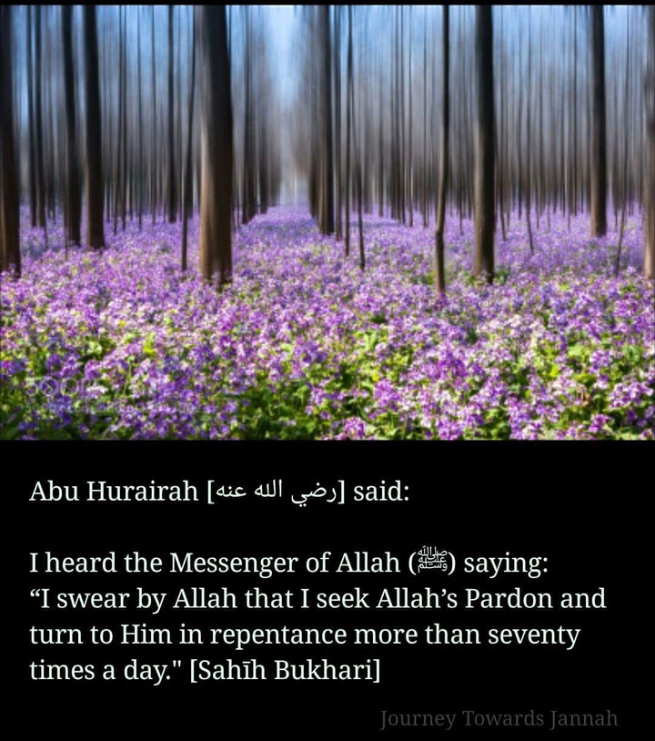 #quran #hijab #niqab #islam #islamic #muslimcouples #muslim