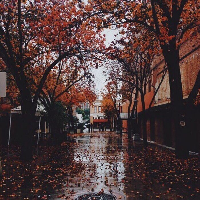 Autumn