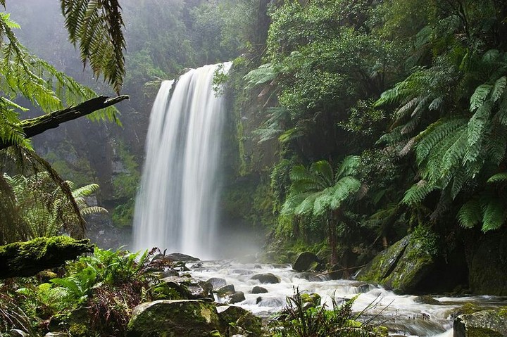 nature is beautiful