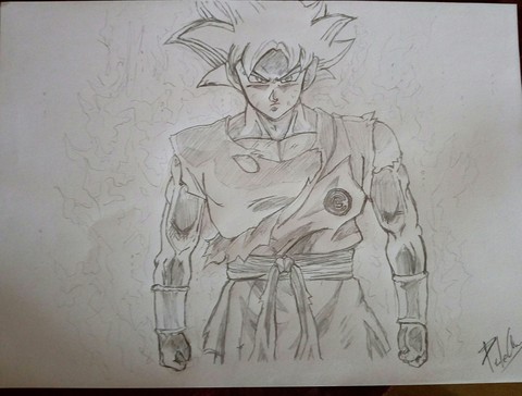 Goku Mastered Ultra Istinct