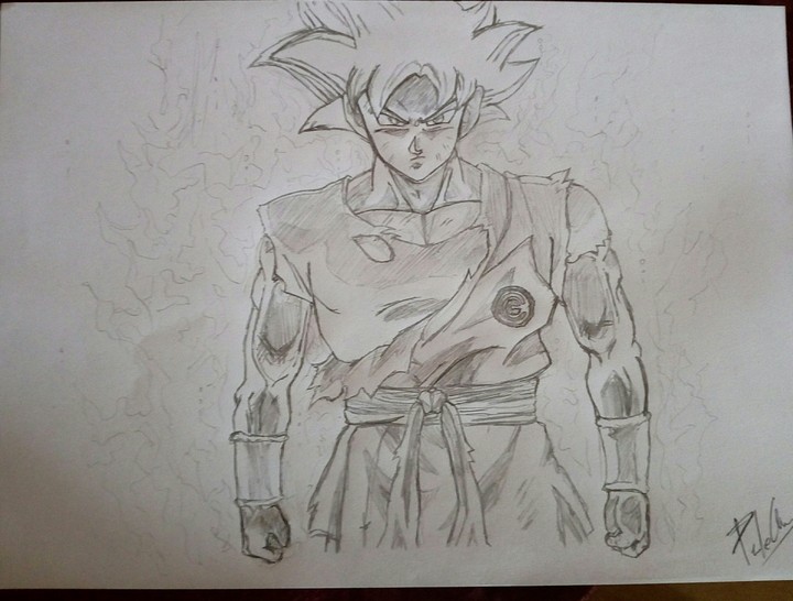 Goku Mastered Ultra Istinct