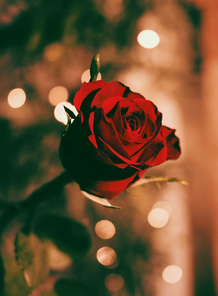 ❤❤