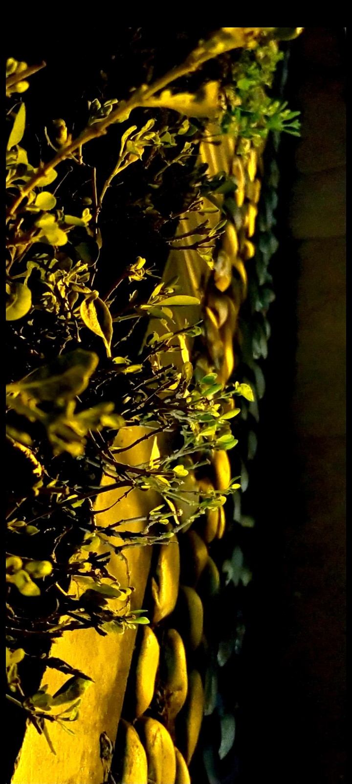 night stone