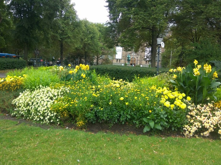 Flora