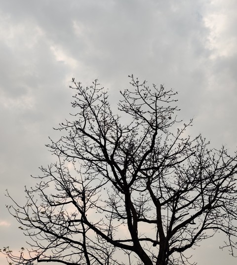 Even the emptiness has beauty of it's own !!