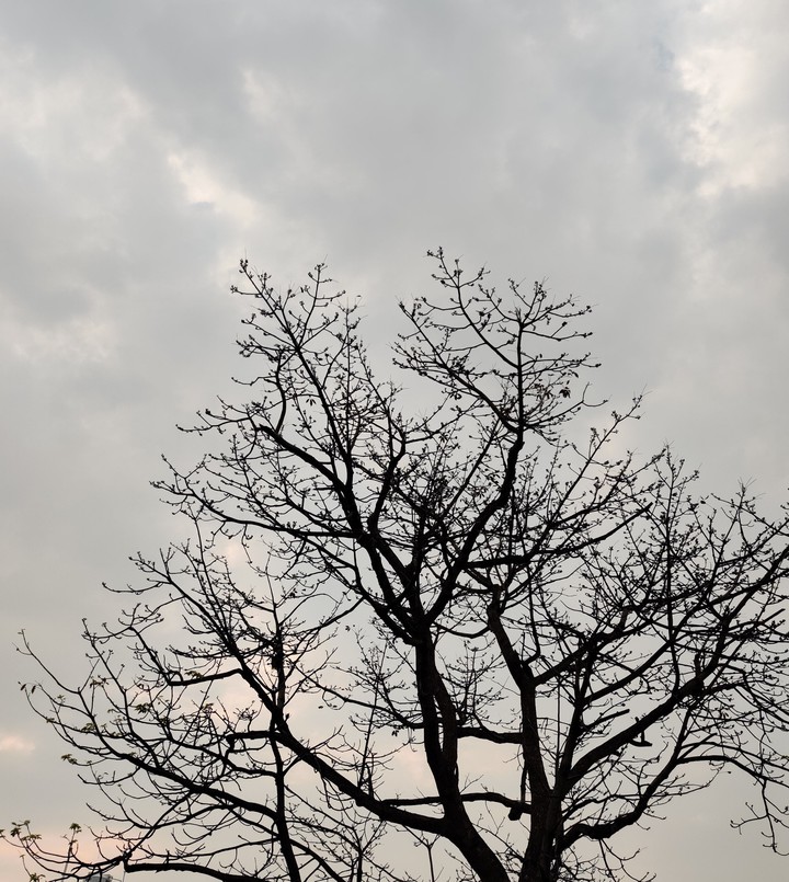 Even the emptiness has beauty of it's own !!