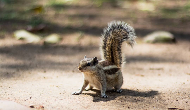 Look at this guy❤️?