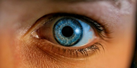 Blue Retina