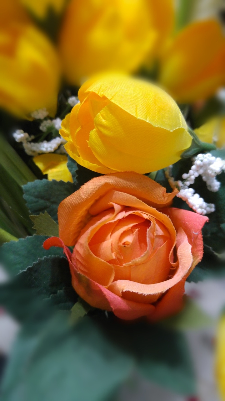 flowers