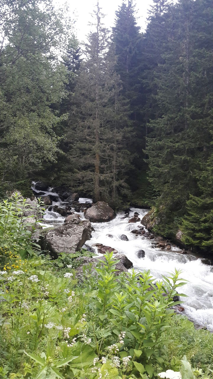 trabzon