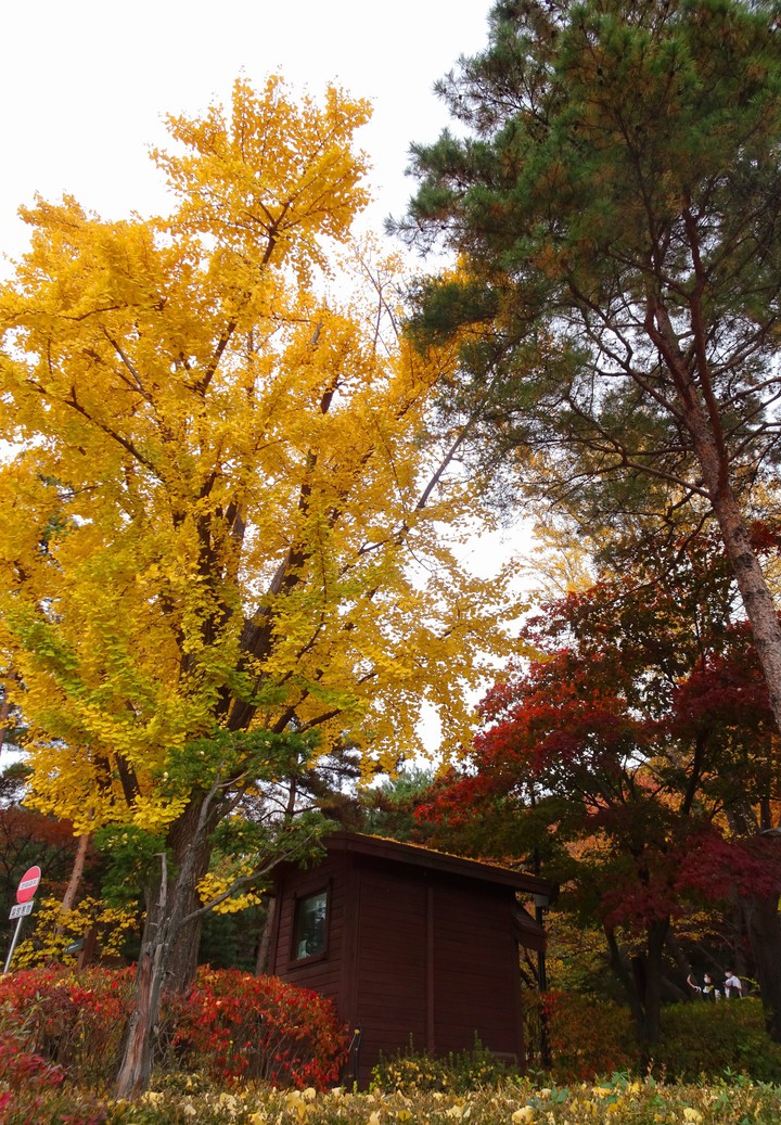 오두막