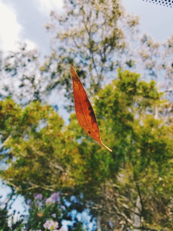 The beginning of fall