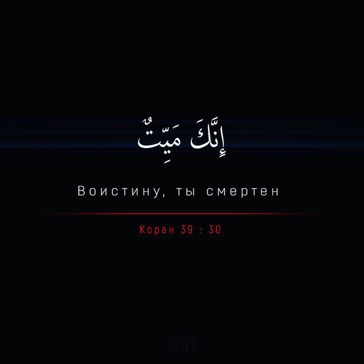 Срок