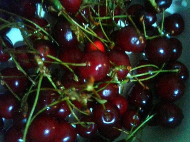 cherry