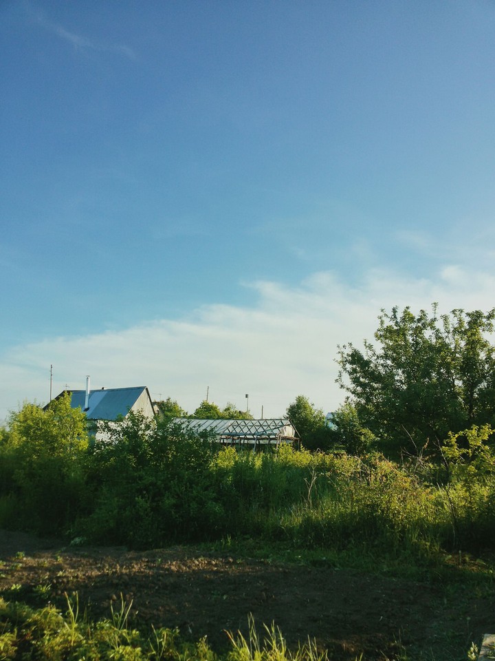 nice weather