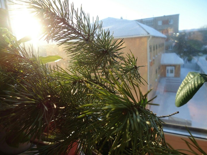 green