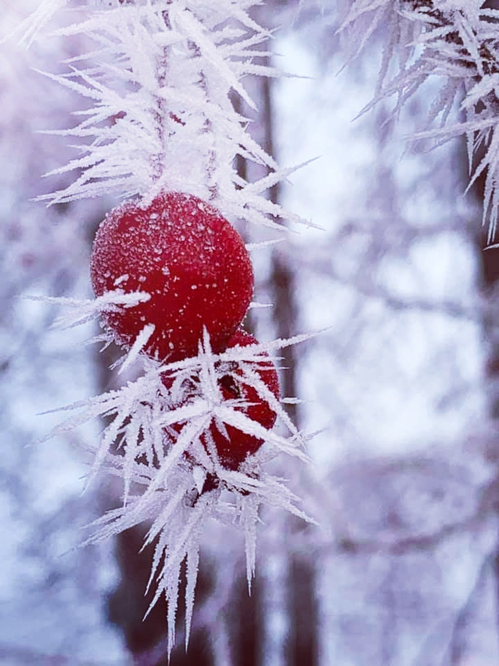 Winter
