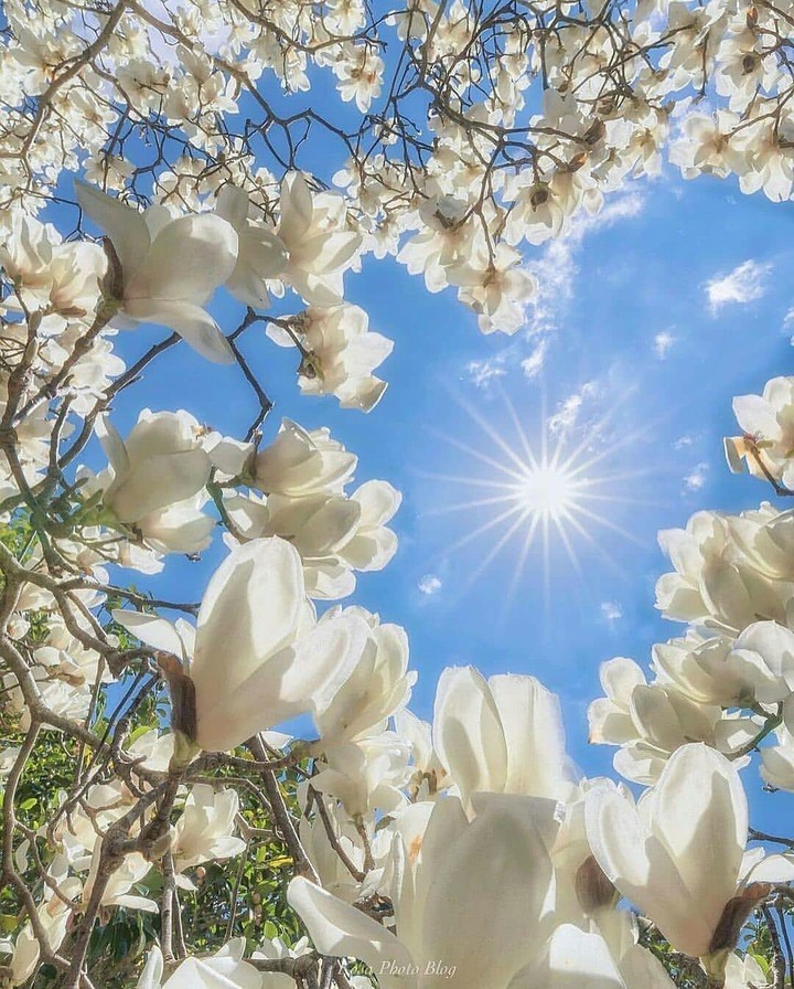 #A Beautiful Happy Day ❤
