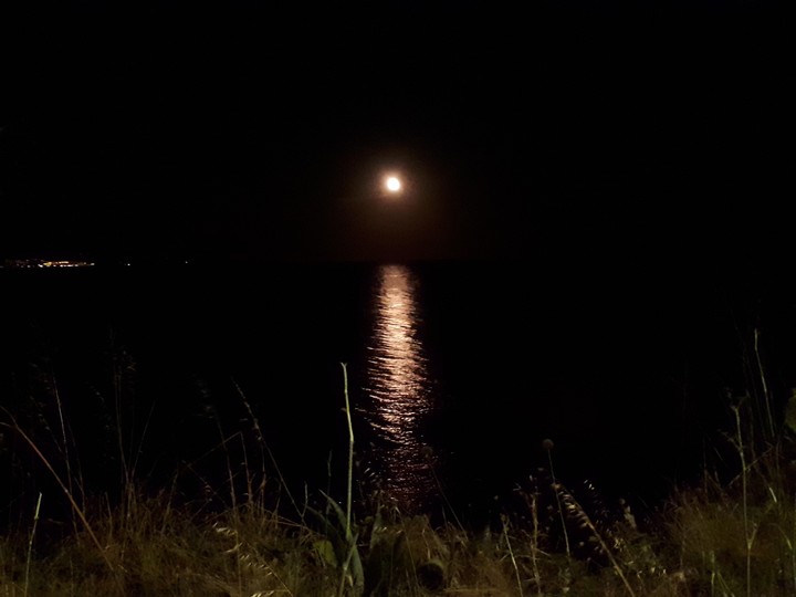 the moon