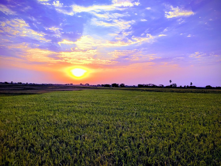 Green and Blue meeting at evening