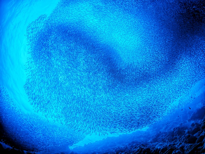 Pacific
